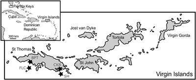 Comparison of Spatial and Temporal Genetic Differentiation in a Harmful Dinoflagellate Species Emphasizes Impact of Local Processes